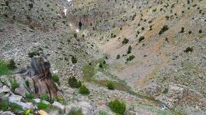 Afşin  Arıtaş  Köyü Resimleri 8