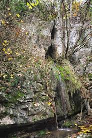 Afşin  Arıtaş  Köyü Resimleri 9