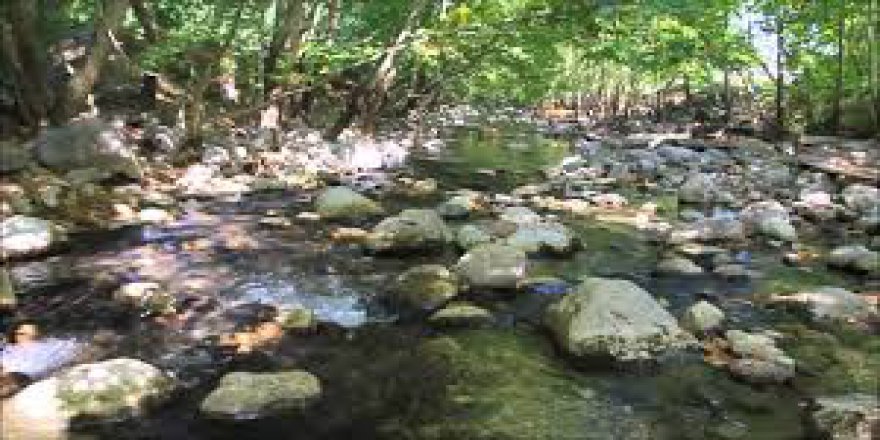 Afşin  Arıtaş  Köyü Resimleri