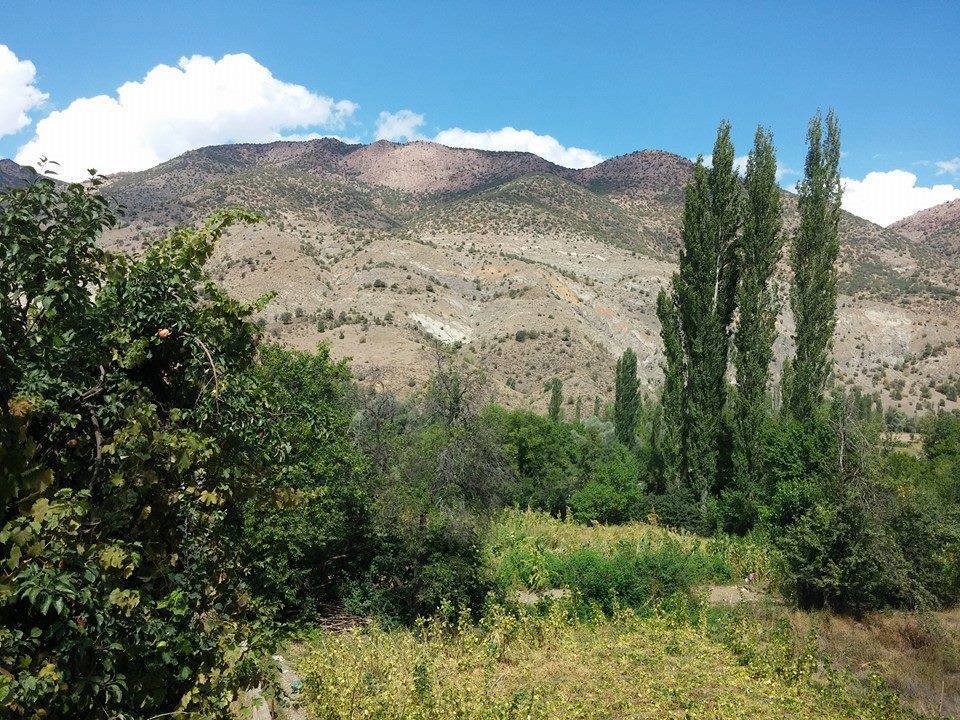 Çamoluk Usluca Köyü Resimleri 5