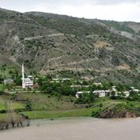 Çamoluk Usluca Köyü Resimleri 9