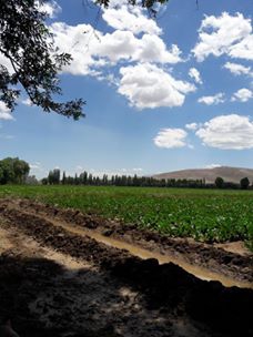 Afşin Bakraç  Köyü Resimleri 5