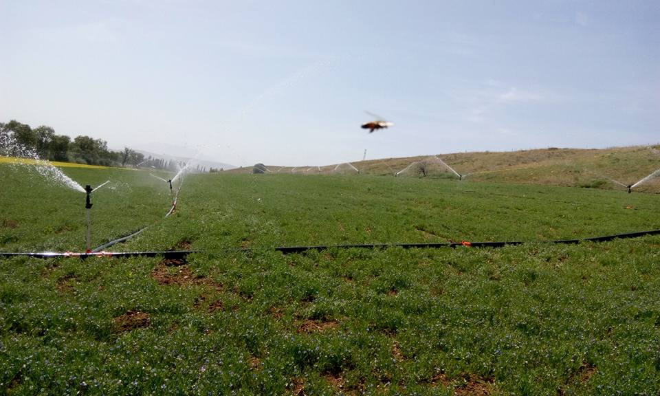 Afşin Bakraç  Köyü Resimleri 6