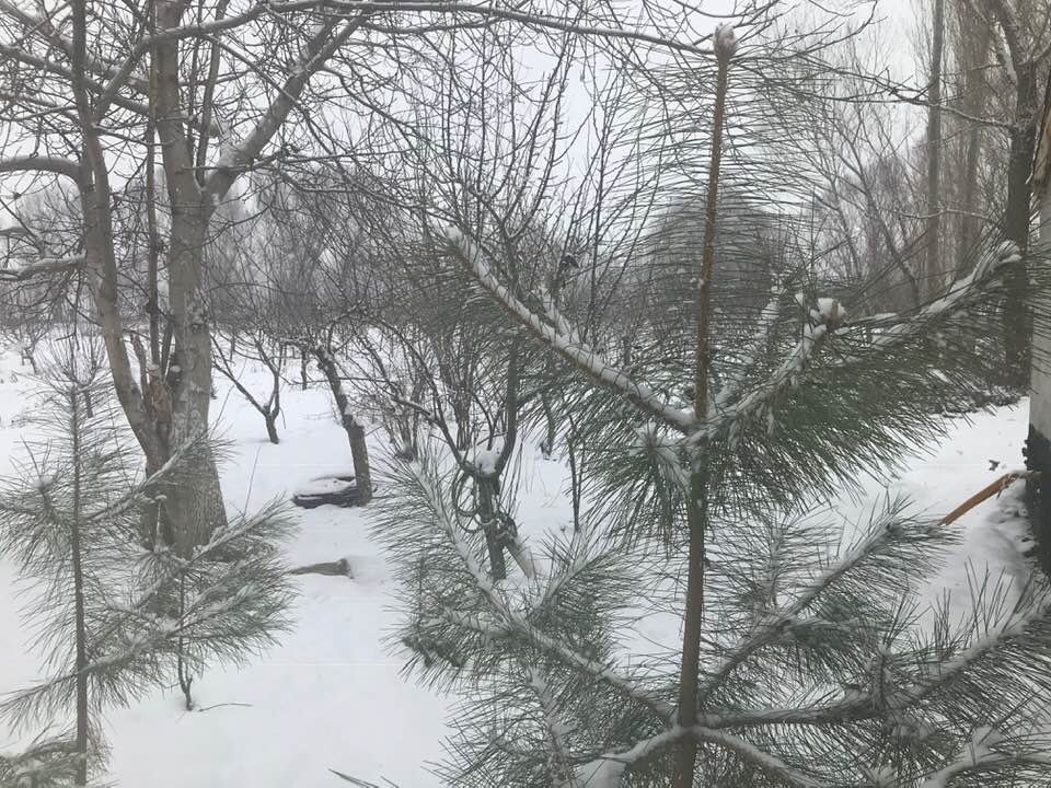 Afşin Bakraç  Köyü Resimleri 7