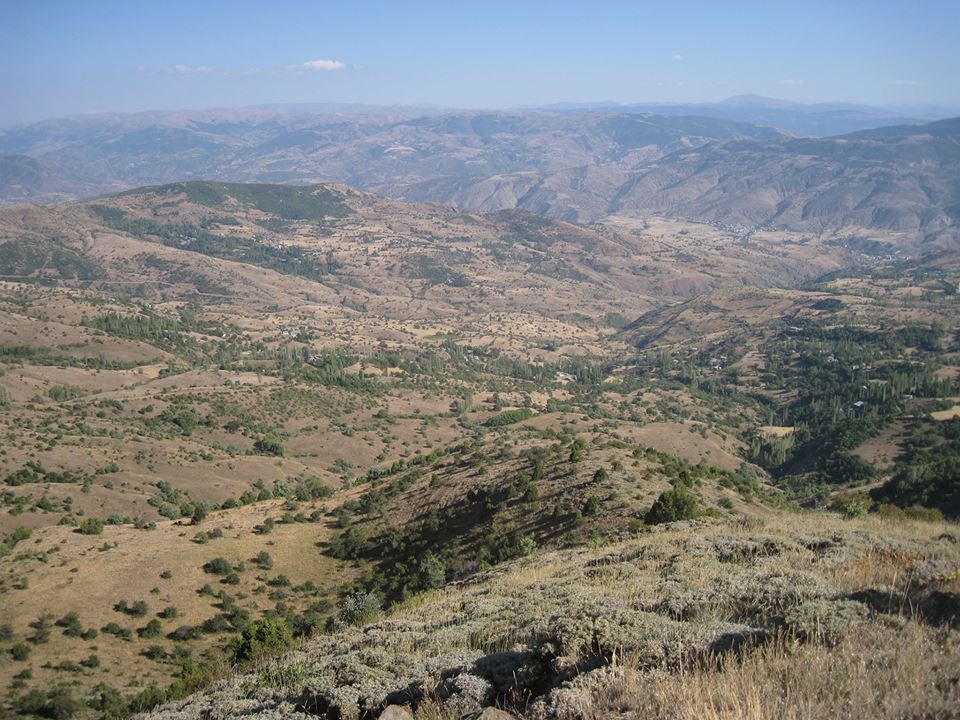 Çamoluk Yeniköy Köyü Resimleri 1