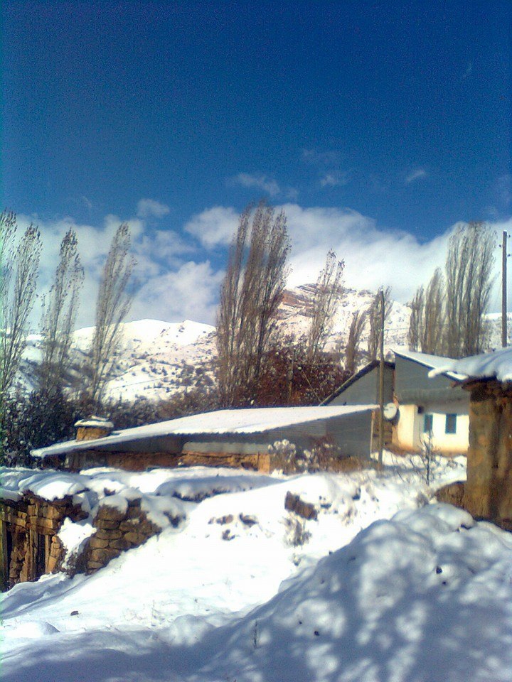 Çamoluk Yeniköy Köyü Resimleri 2