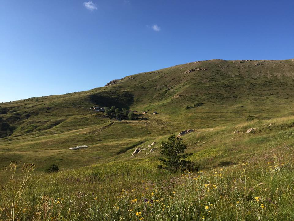 Çamoluk Yeniköy Köyü Resimleri 4