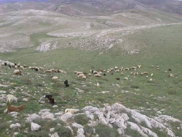 Afşin Büyüktatlı Köyü Resimleri 6