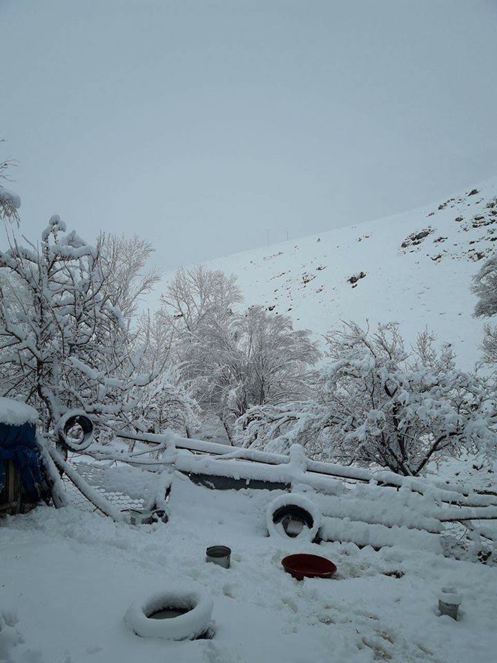 Afşin Büyüktatlı Köyü Resimleri 7