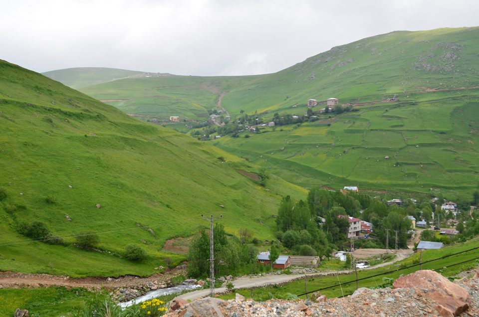 Dereli Aksu Köyü Resimleri 3