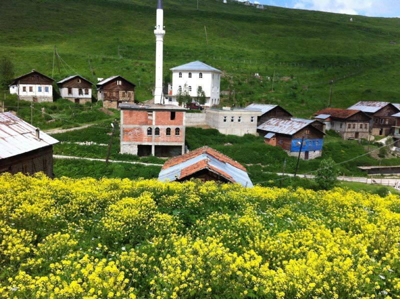 Araklı Sulakyurt Köyü Resimleri 2