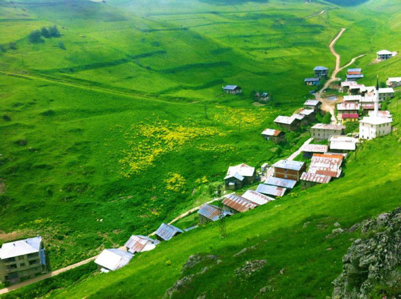 Araklı Sulakyurt Köyü Resimleri 3