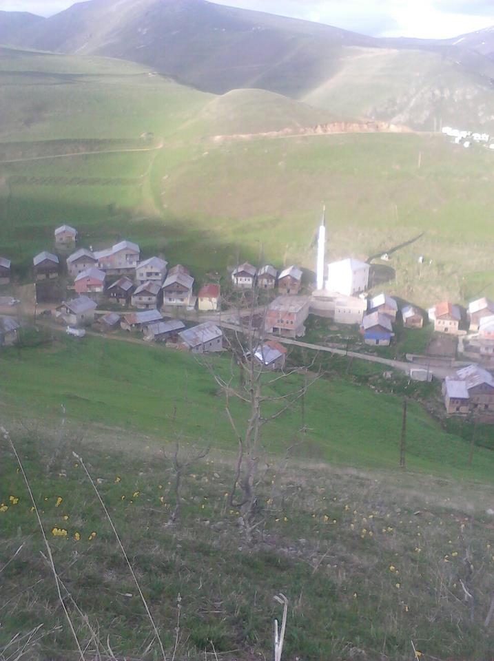 Araklı Sulakyurt Köyü Resimleri 4