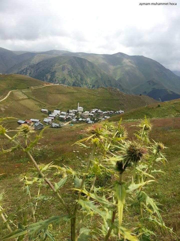 Araklı Sulakyurt Köyü Resimleri 6
