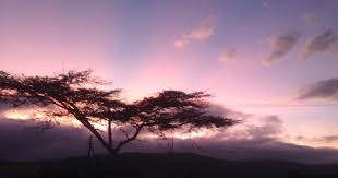 Çan Yaya Köyü Resimleri 2