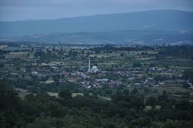 Çan Ahlatlıburun Köyü Resimleri 4