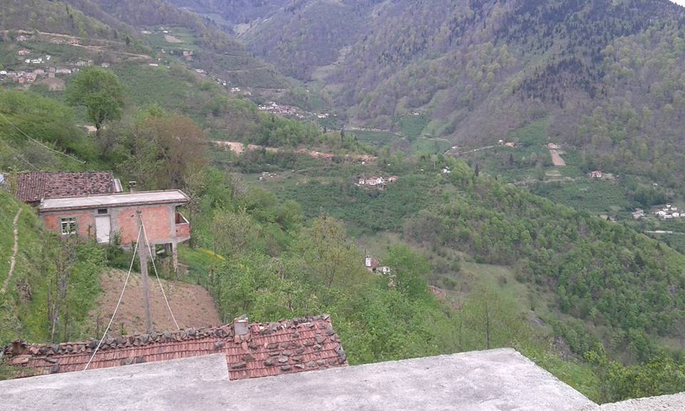 Araklı Sularbaşı Köyü Resimleri 5