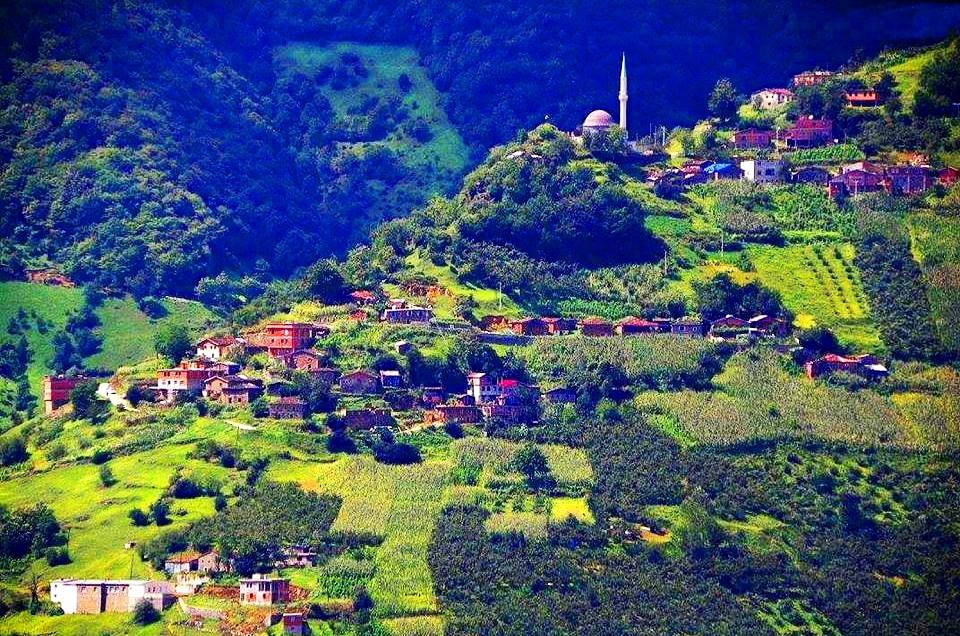 Araklı Sularbaşı Köyü Resimleri 7