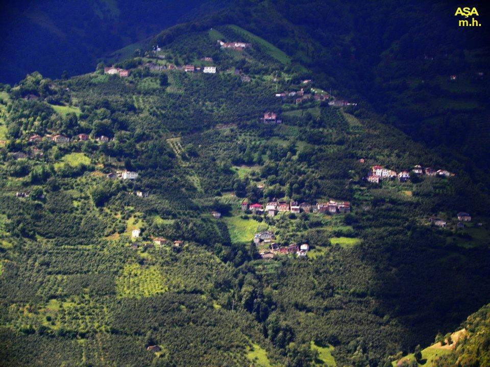 Araklı Sularbaşı Köyü Resimleri 8