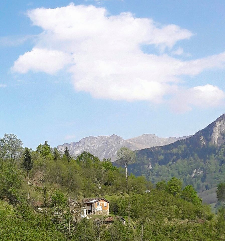 Araklı Sularbaşı Köyü Resimleri 9