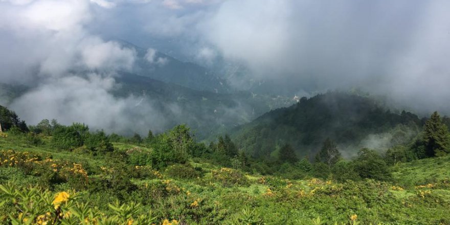 Araklı Sularbaşı Köyü Resimleri