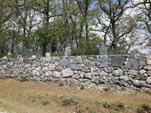 Çan  Asmalı Köyü  Resimleri 1