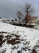 Çan  Asmalı Köyü  Resimleri 2