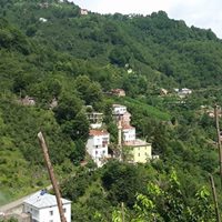 Dereli Meşeliyatak Köyü Ressimleri 1