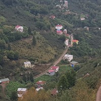 Dereli Meşeliyatak Köyü Ressimleri 11