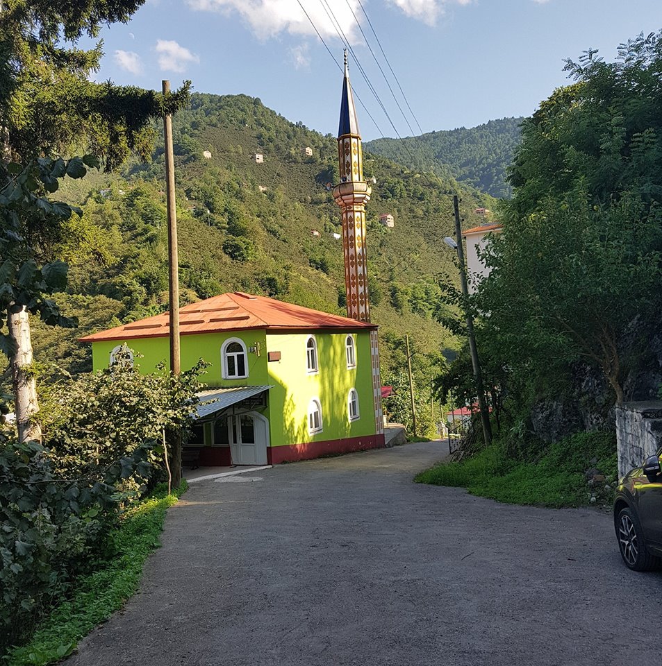 Dereli Meşeliyatak Köyü Ressimleri 13