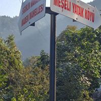 Dereli Meşeliyatak Köyü Ressimleri 7