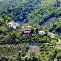 Dereli Meşeliyatak Köyü Ressimleri 8