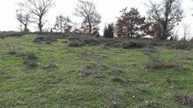 Çan Bardakçılar Köyü Resimleri 2