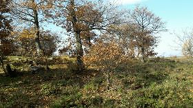 Çan Bardakçılar Köyü Resimleri 3