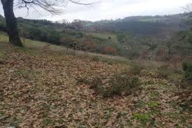 Çan Bilaller Köyü  Resimleri 6