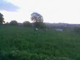 Çan  Bostandere Köyü Resimleri 6