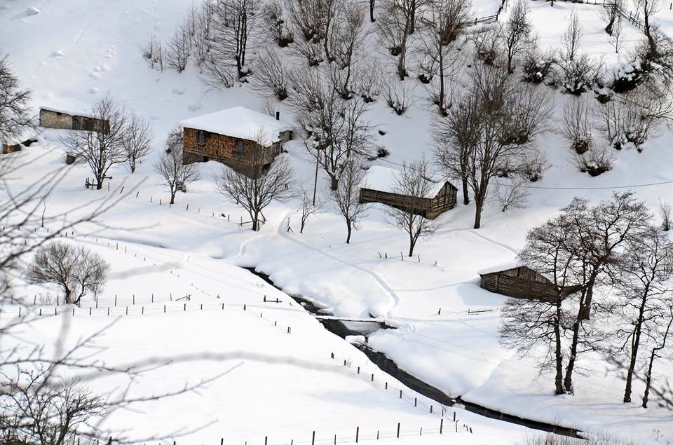Dereli Uzundere Köyü Resimleri 4