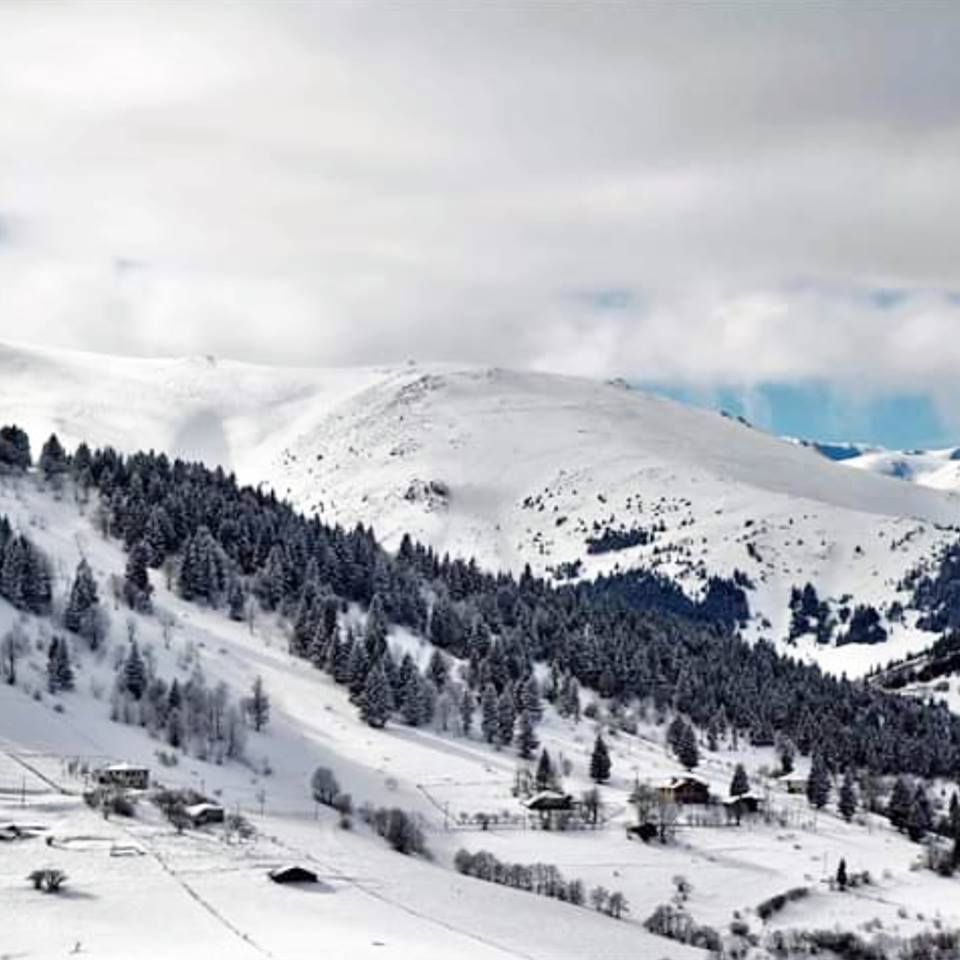 Dereli Uzundere Köyü Resimleri 8