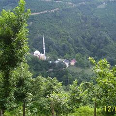 Dereli Yeşilkaya Köyü Resimleri 1