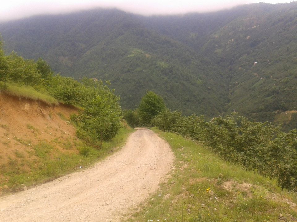 Dereli Yeşilkaya Köyü Resimleri 10