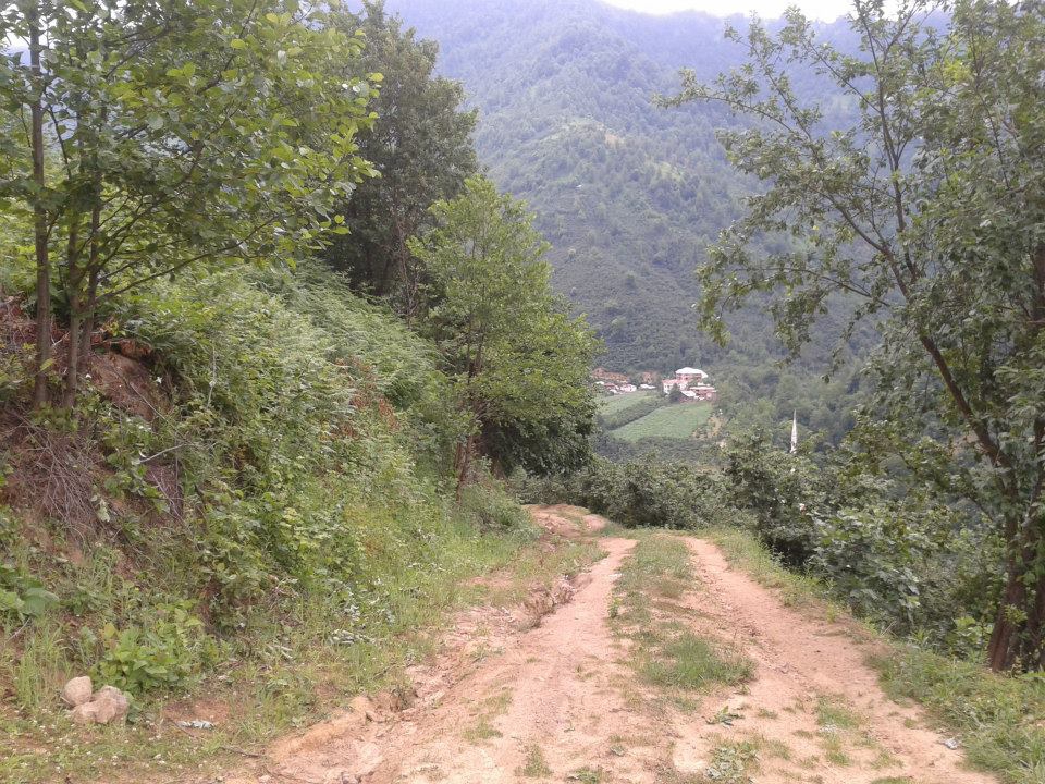 Dereli Yeşilkaya Köyü Resimleri 11