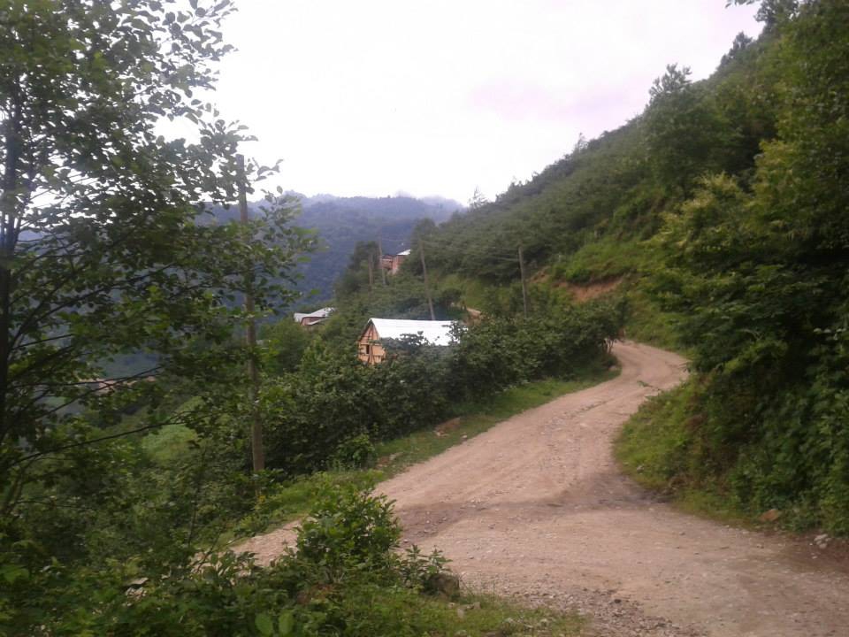 Dereli Yeşilkaya Köyü Resimleri 12