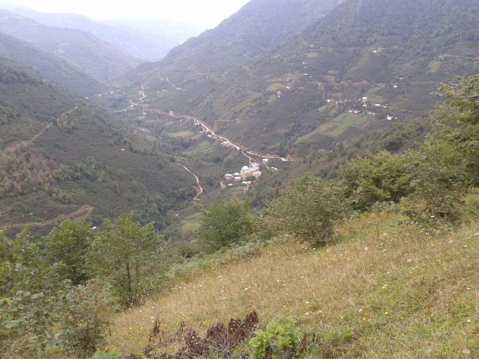 Dereli Yeşilkaya Köyü Resimleri 2