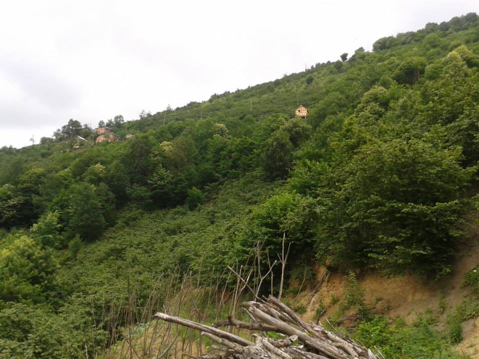 Dereli Yeşilkaya Köyü Resimleri 3