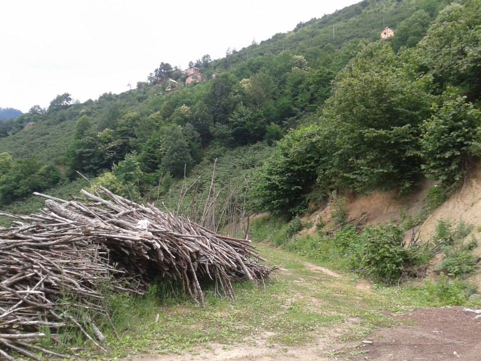 Dereli Yeşilkaya Köyü Resimleri 4