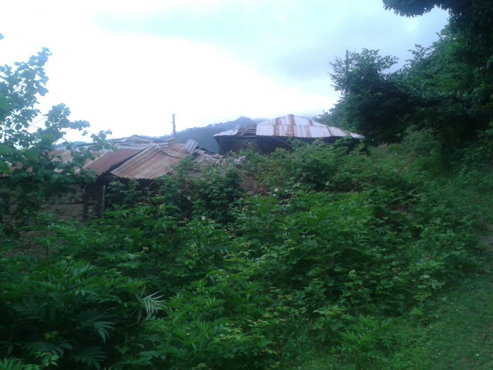 Dereli Yeşilkaya Köyü Resimleri 5