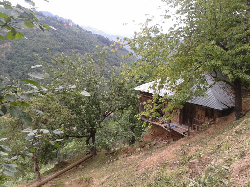 Dereli Yeşilkaya Köyü Resimleri 7