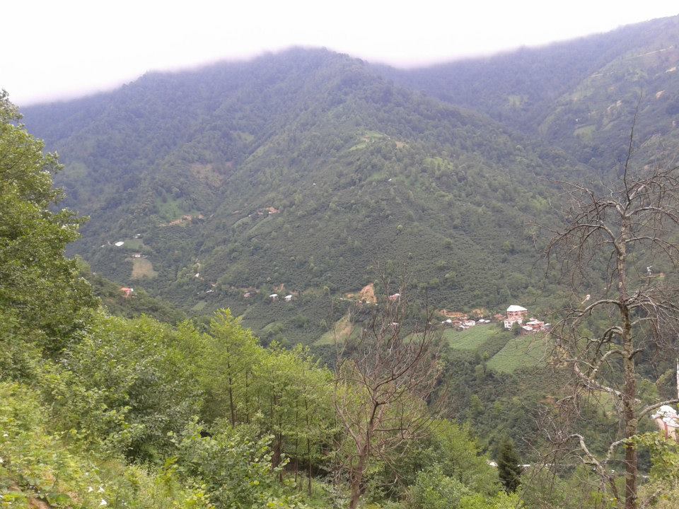 Dereli Yeşilkaya Köyü Resimleri 8