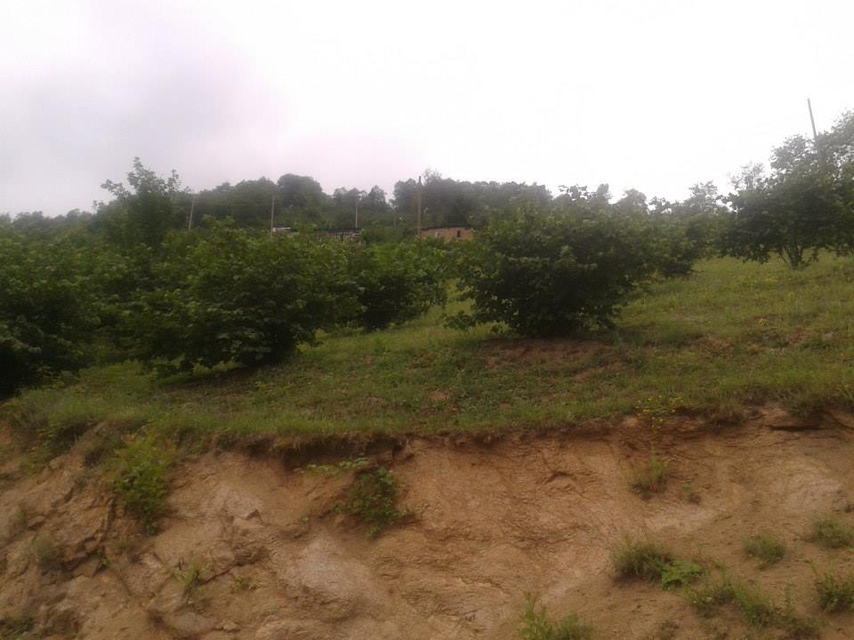 Dereli Yeşilkaya Köyü Resimleri 9