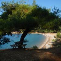 Çan Çakılköy Köyü Resimleri 1